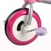 Трехколесный велосипед Peg Perego Trillo Girl (PD0624) Трехколесный велосипед Peg Perego Trillo Girl (PD0624)